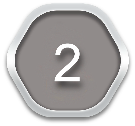 league medal