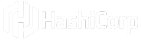 Hashicorp Logo